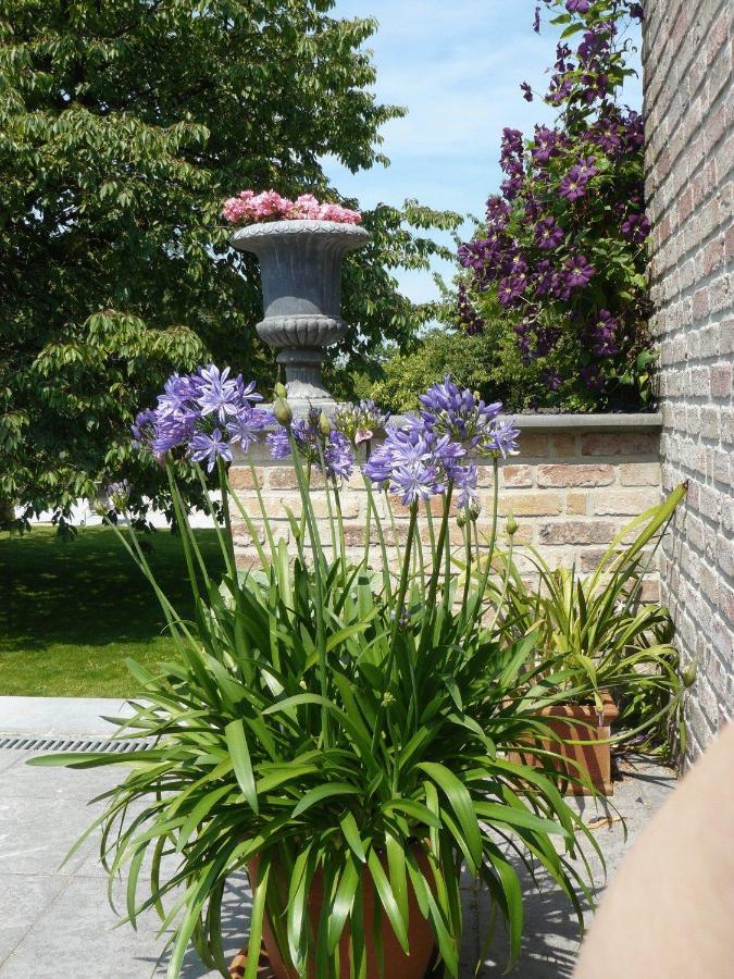 B&B Casabelle Boekhoute Dış mekan fotoğraf
