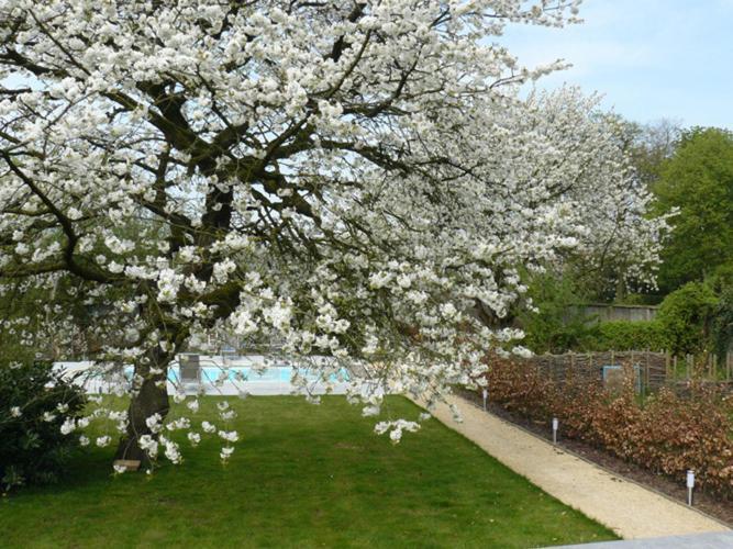 B&B Casabelle Boekhoute Dış mekan fotoğraf